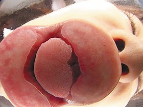 超濃厚バーチャル挑発キス　サンプル画像03